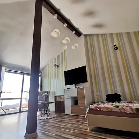 Apartment фридом *